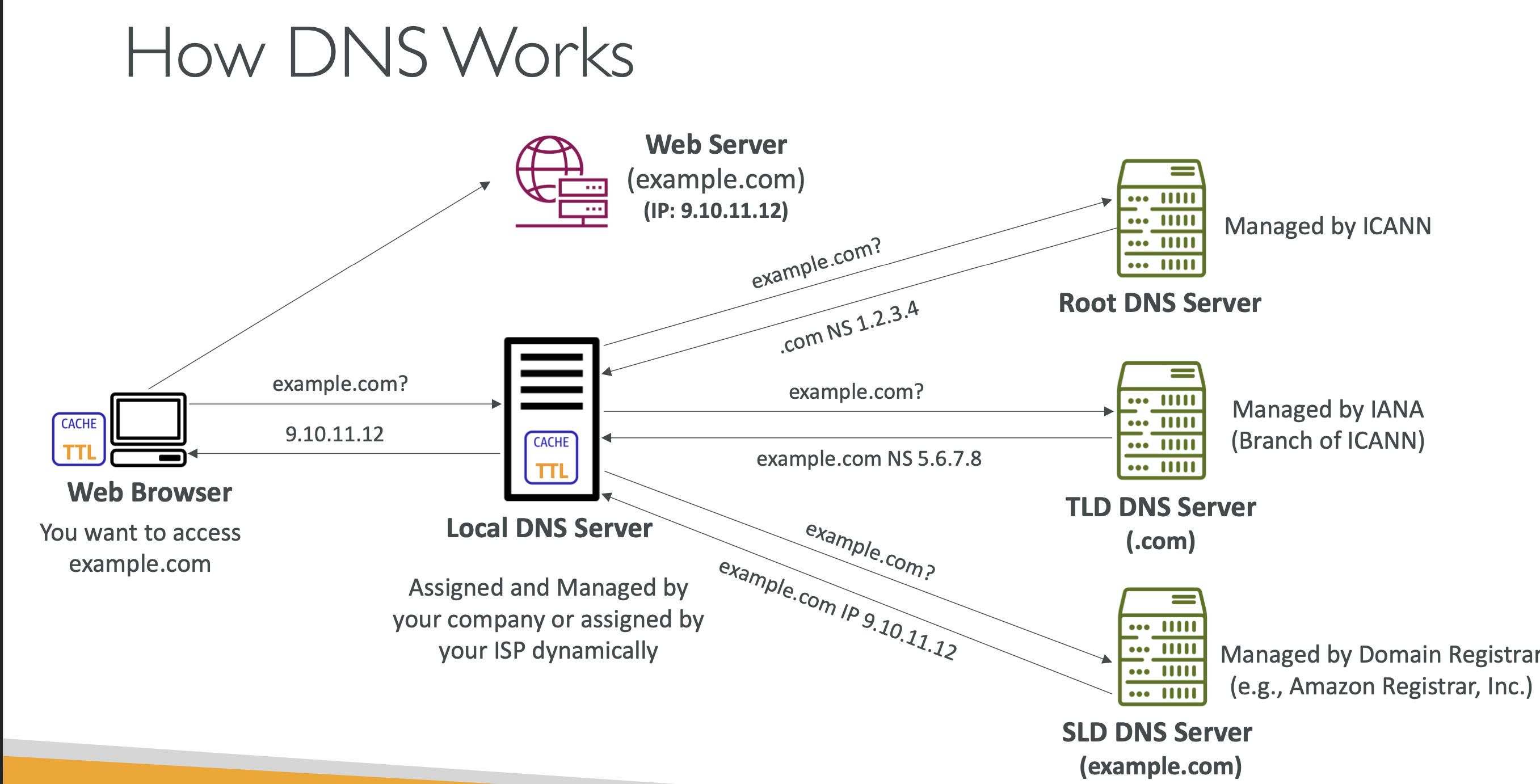 DNS